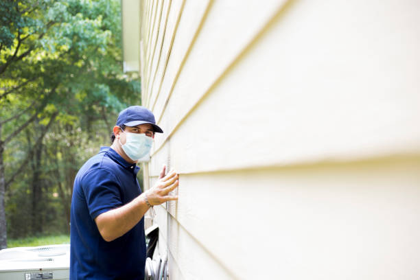 Best Custom Trim and Detailing for Siding  in Quincy, IL